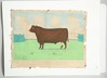 Henry Dousa pastel painting of a cow