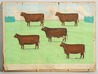 Henry Dousa pastel painting of a five cows