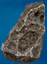 A Las Palmas meteorite from Paraguay, found near the Campo del Cielo strewn field in Argentina