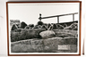 Charcoal drawing by Susan Crowder (American, 20th/21st Century), Washington Gardens #4, 1991