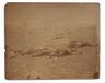 Timothy O'Sullivan albumen photograph, <b><i>A Harvest of Death</i></b>