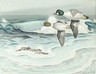 John Henry Dick signed watercolor painting of goldeneye ducks over the surf