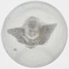 A cherub head with wings sulphide marble