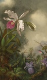 Martin Johnson Heade oil on canvas painting, White Orchid and Hummingbird, signed M.J. Heade lower right. Painted circa 1875-90