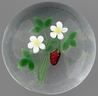 A Victor Trabucco glass paperweight with a strawberry and white flowers, signed, dated 1981