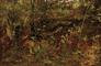 Worthington Whittredge oil on board, Scene in Shawangunk Mountains, signed
