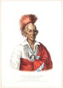 McKenney & Hall Lithograph, 1838,Black Hawk a Saukie Brave, FW Greenough Pub