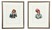 McKenney & Hall Lithographs, 1840s, Itcho-Tusteneuggee, Seminole & Le-Da-Gie, Creek Chief